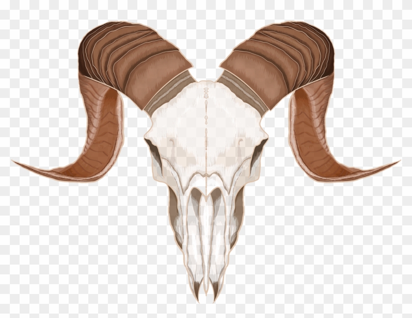 Detail Goat Skull Clipart Nomer 23