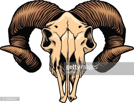 Detail Goat Skull Clipart Nomer 35