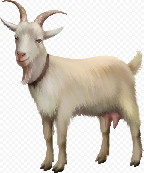 Detail Goat Transparent Nomer 20