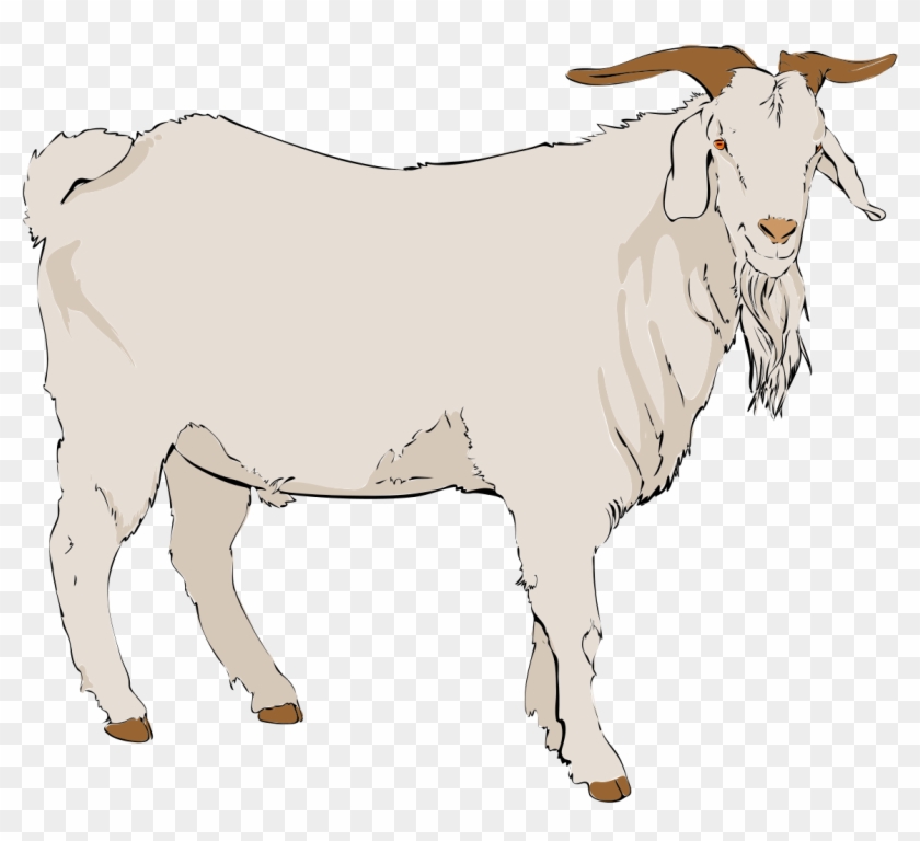 Detail Goat Transparent Nomer 48