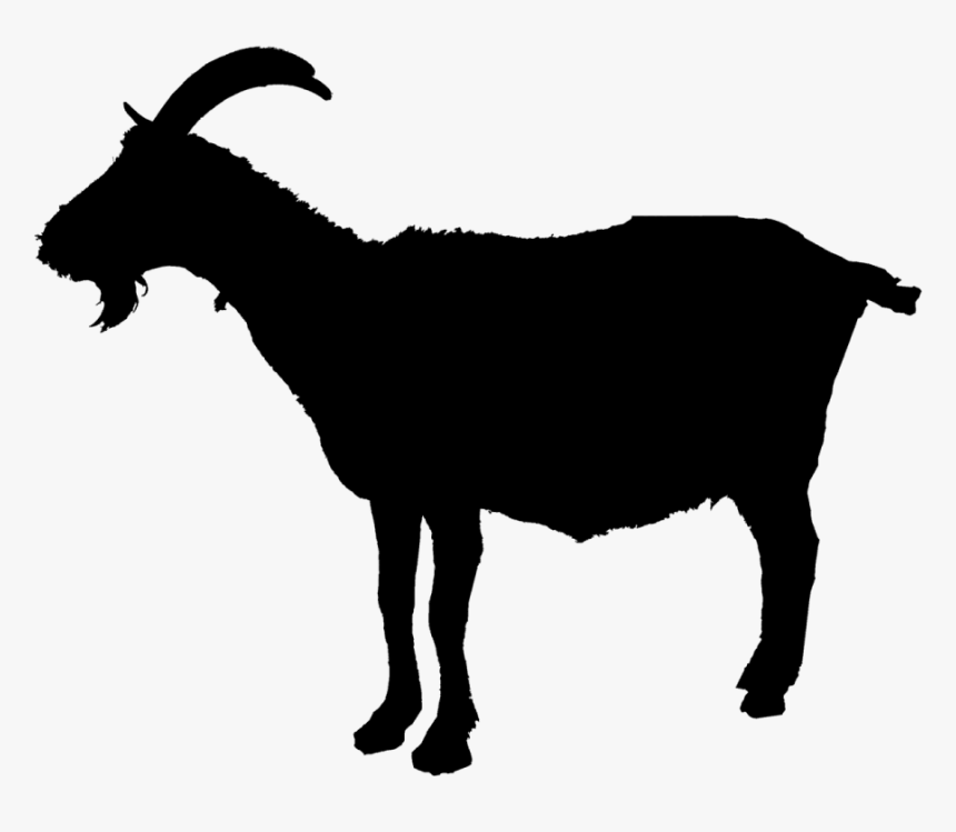 Detail Goat Vector Png Nomer 2