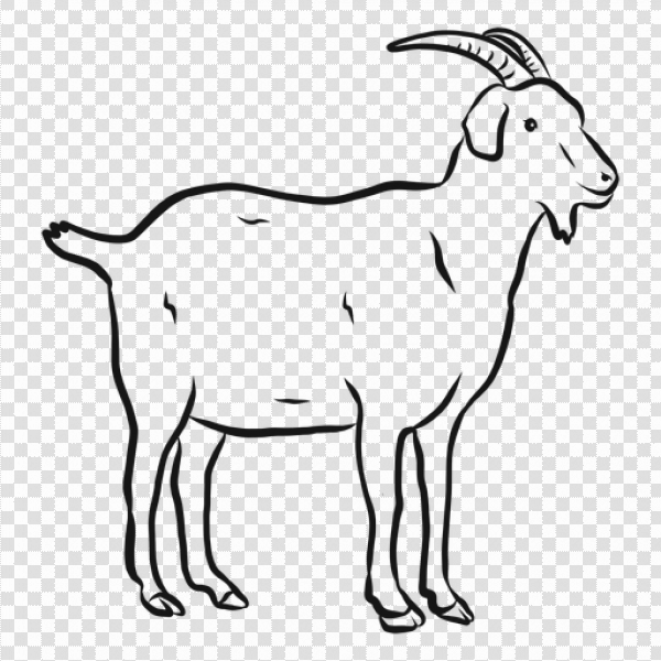 Detail Goat Vector Png Nomer 16