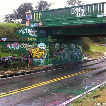 Detail Graffiti Bridge Nomer 51