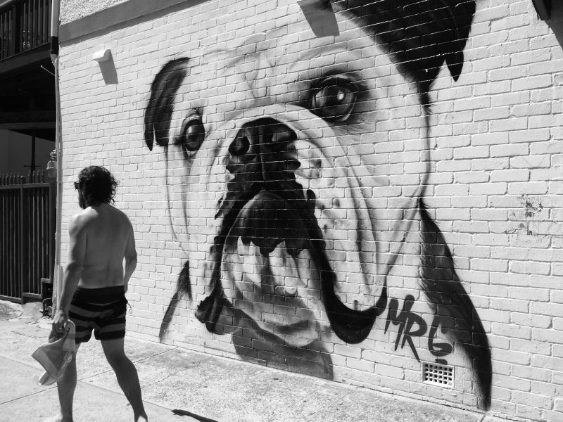 Detail Graffiti Bulldog Hitam Putih Nomer 43