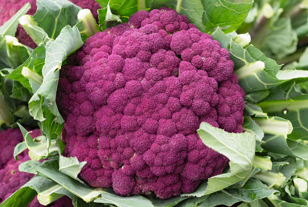 Graffiti Cauliflower Whats In It - KibrisPDR