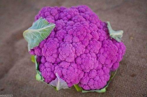 Detail Graffiti Cauliflower Whats In It Nomer 9