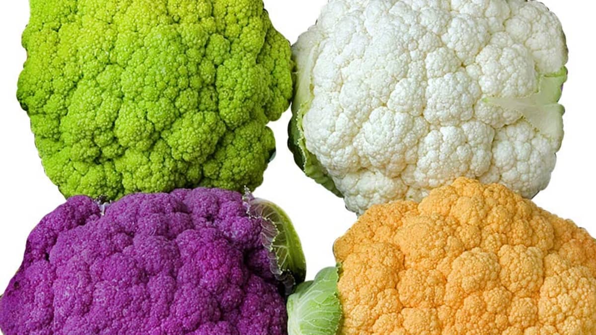 Detail Graffiti Cauliflower Whats In It Nomer 16