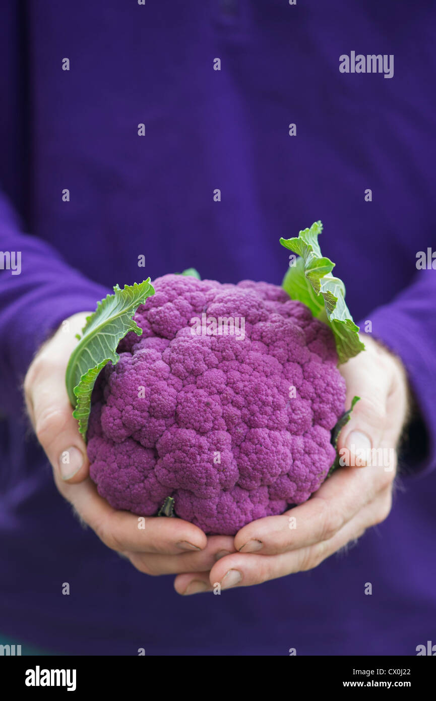 Detail Graffiti Cauliflower Whats In It Nomer 27