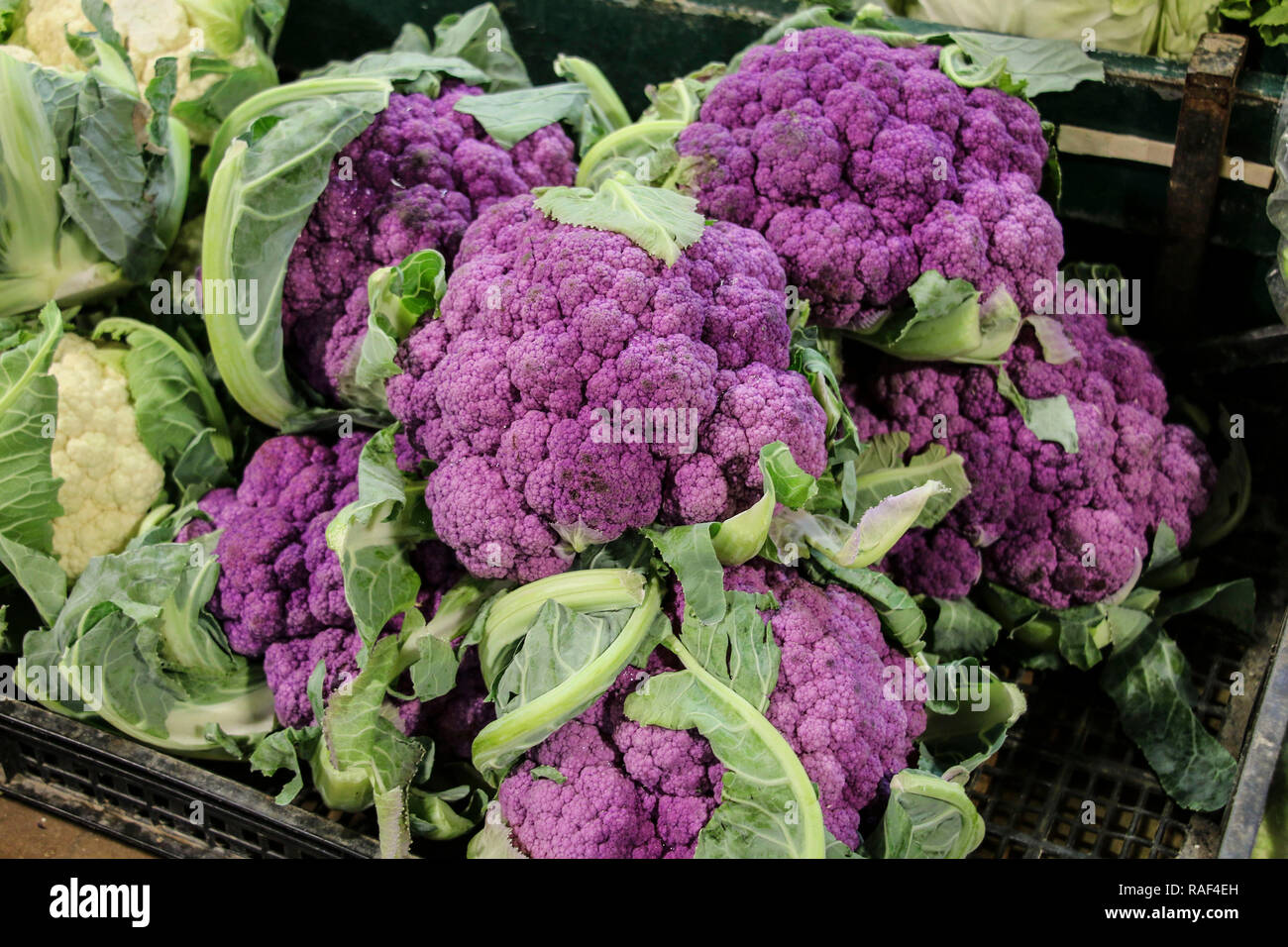 Detail Graffiti Cauliflower Whats In It Nomer 28