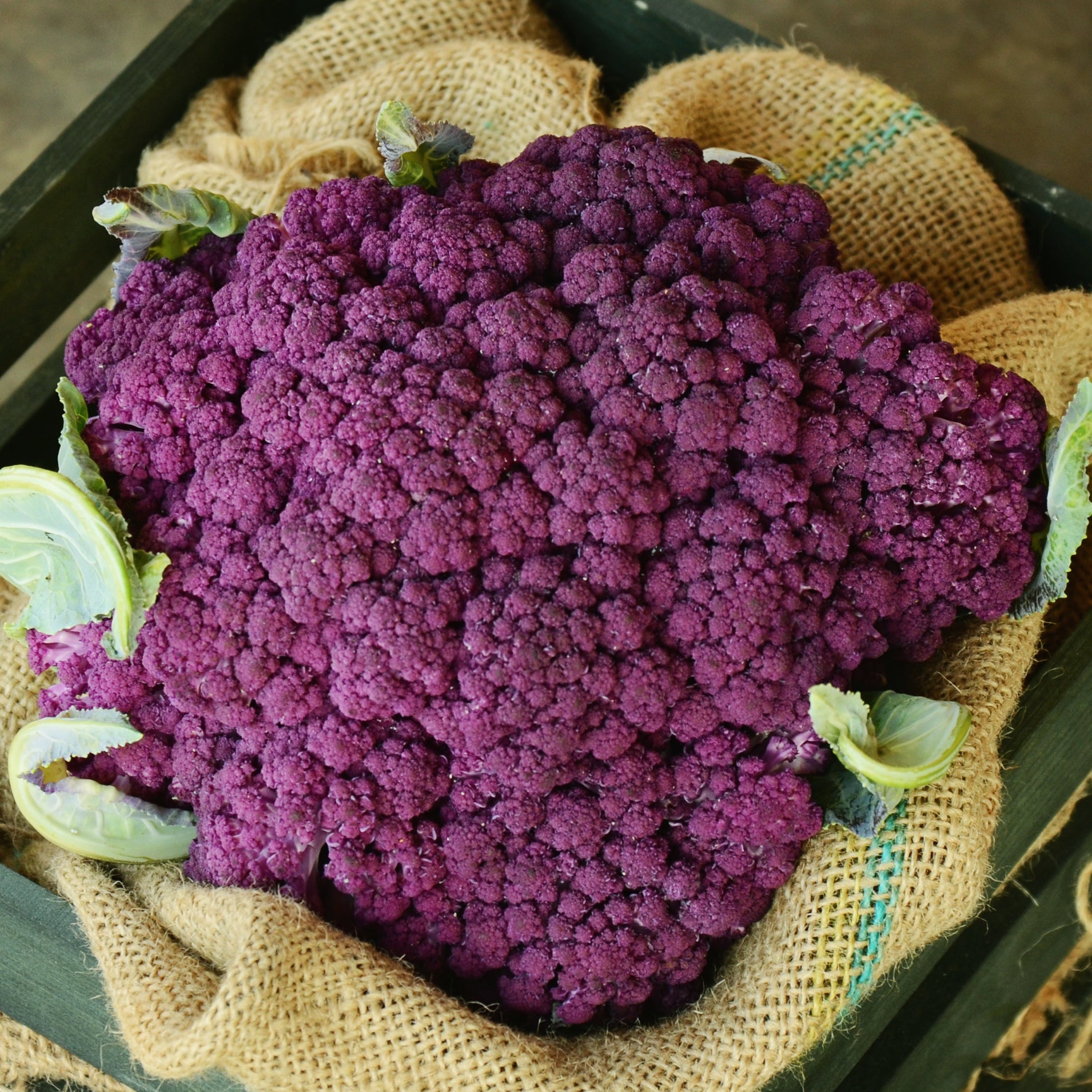 Detail Graffiti Cauliflower Whats In It Nomer 3