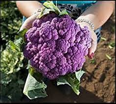 Detail Graffiti Cauliflower Whats In It Nomer 39