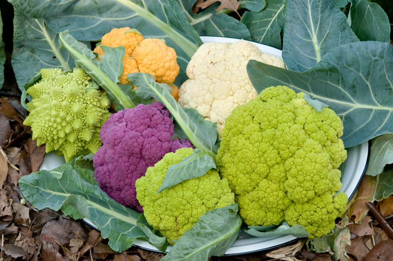 Detail Graffiti Cauliflower Whats In It Nomer 40