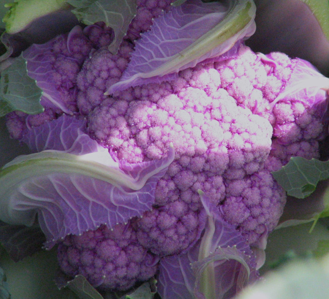 Detail Graffiti Cauliflower Whats In It Nomer 46