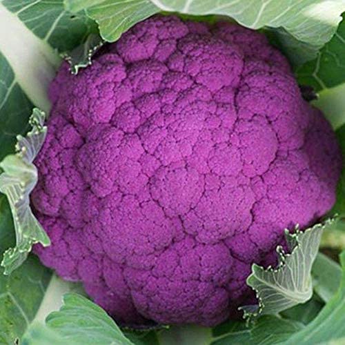 Detail Graffiti Cauliflower Whats In It Nomer 6