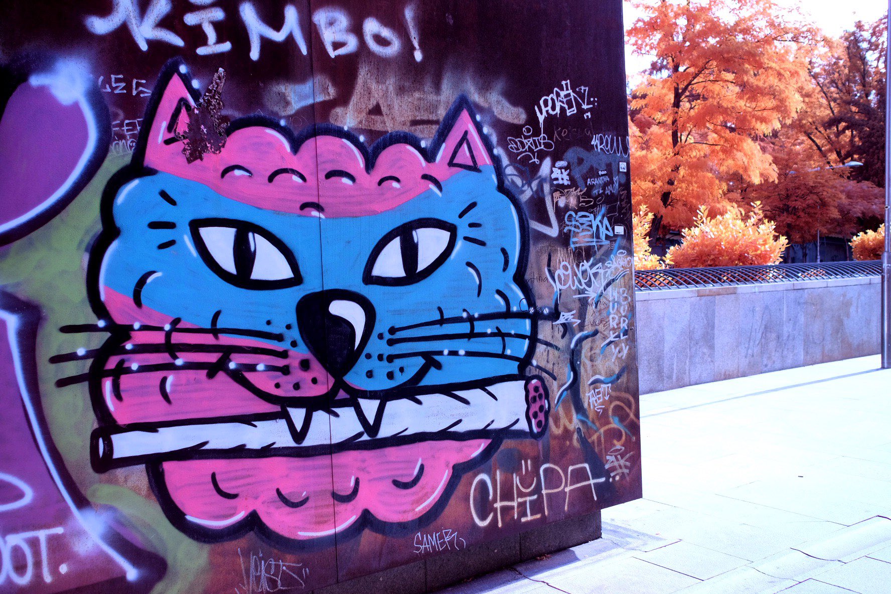 Detail Graffiti Creator Has Crashed Chrome Nomer 42