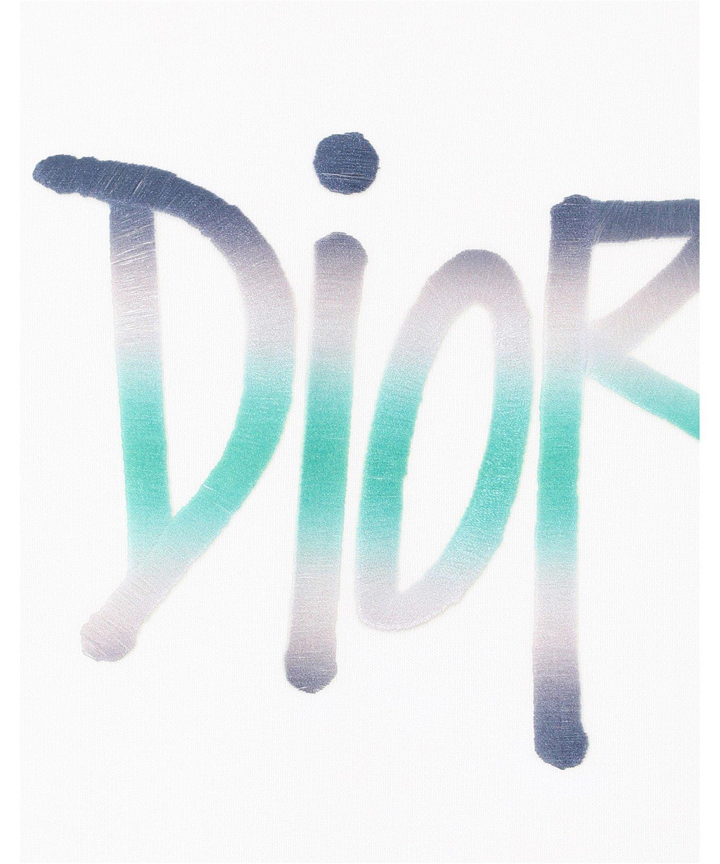 Graffiti Dior - KibrisPDR