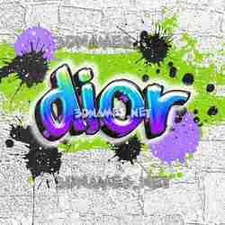 Detail Graffiti Dior Nomer 13