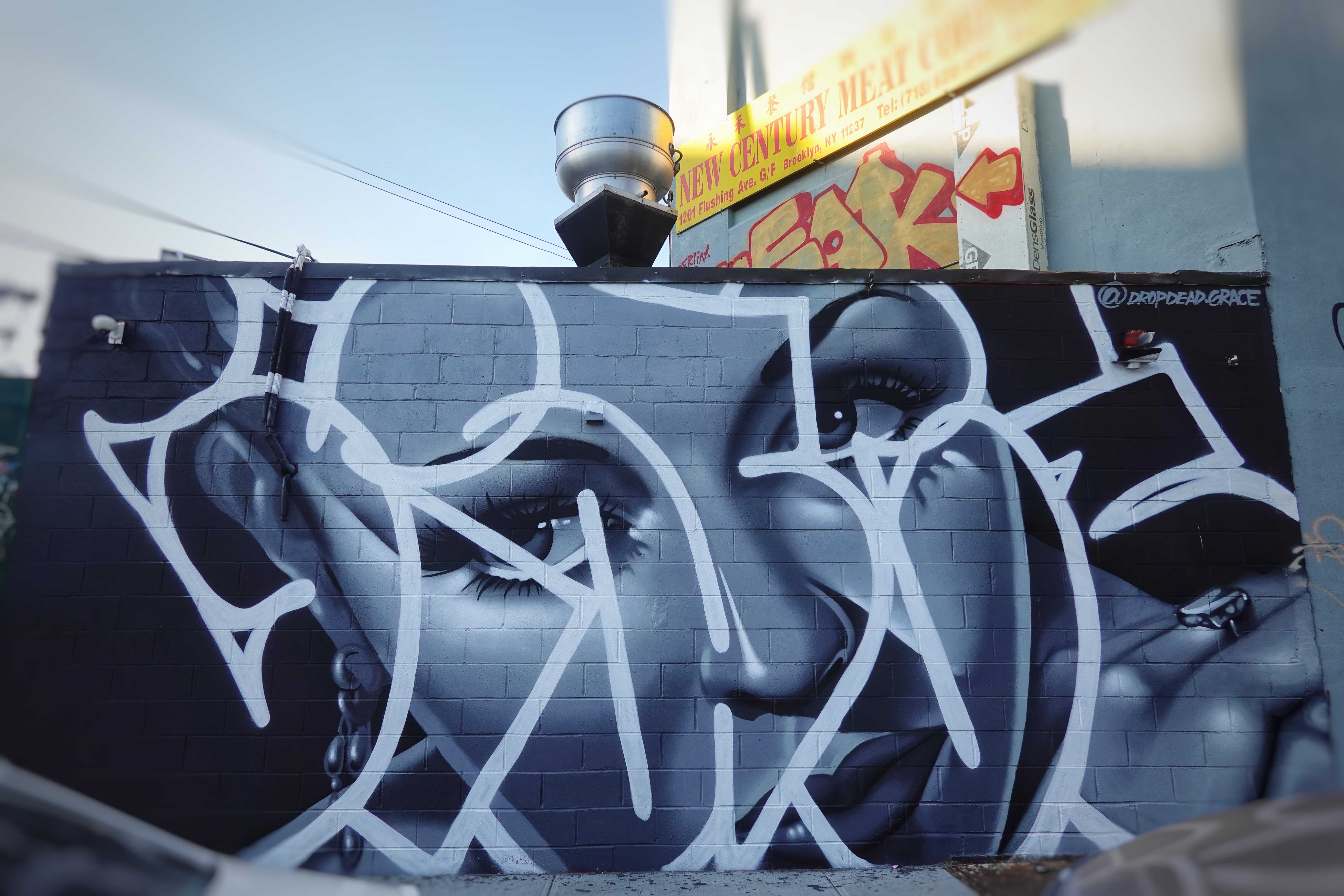 Detail Graffiti Drop Dead Nomer 12