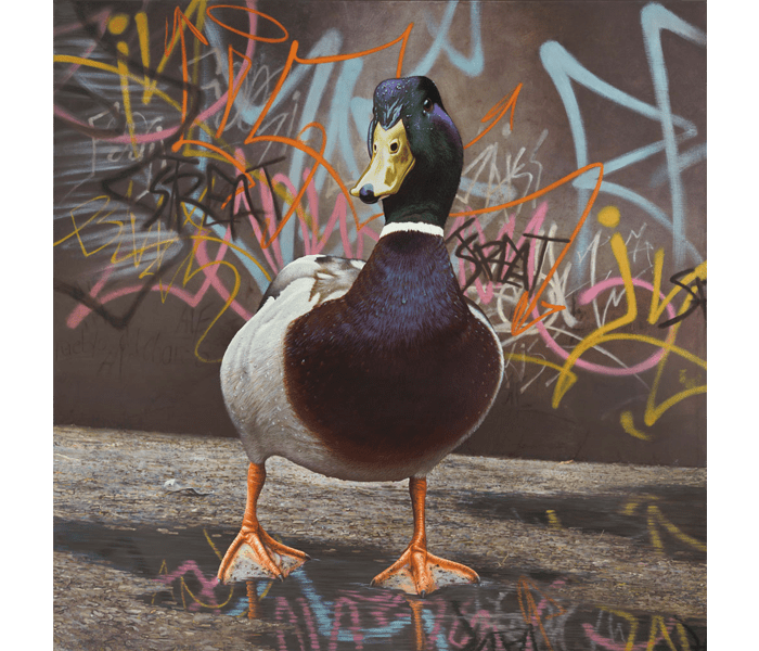 Download Graffiti Duckling Nomer 11