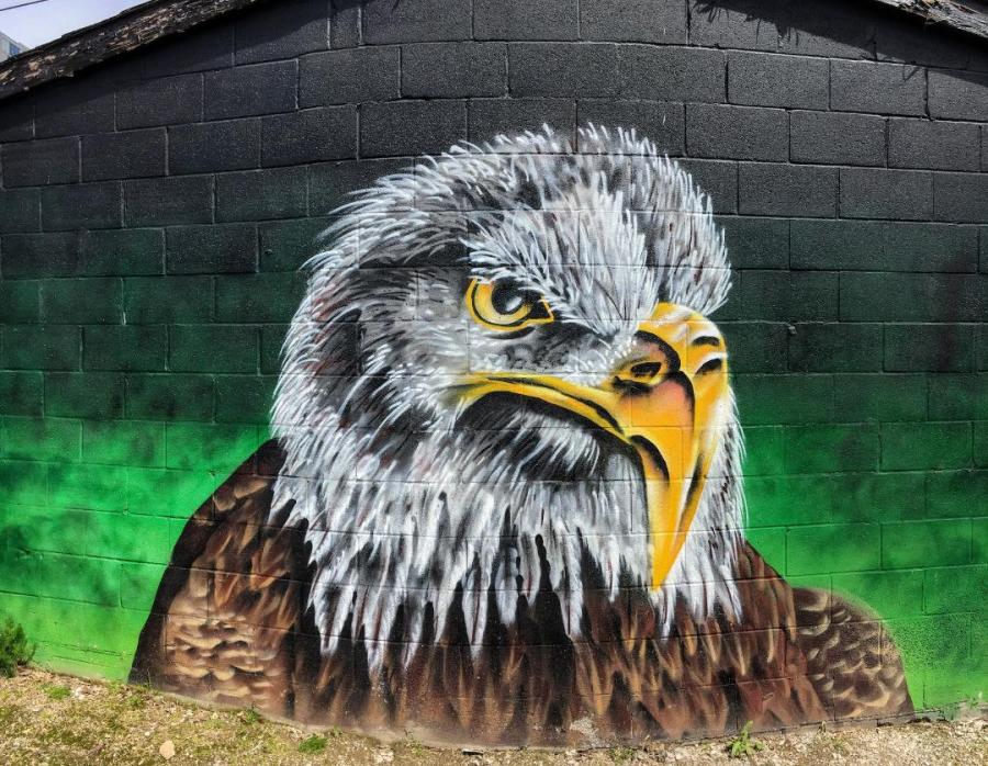 Detail Graffiti Eagle Nomer 43