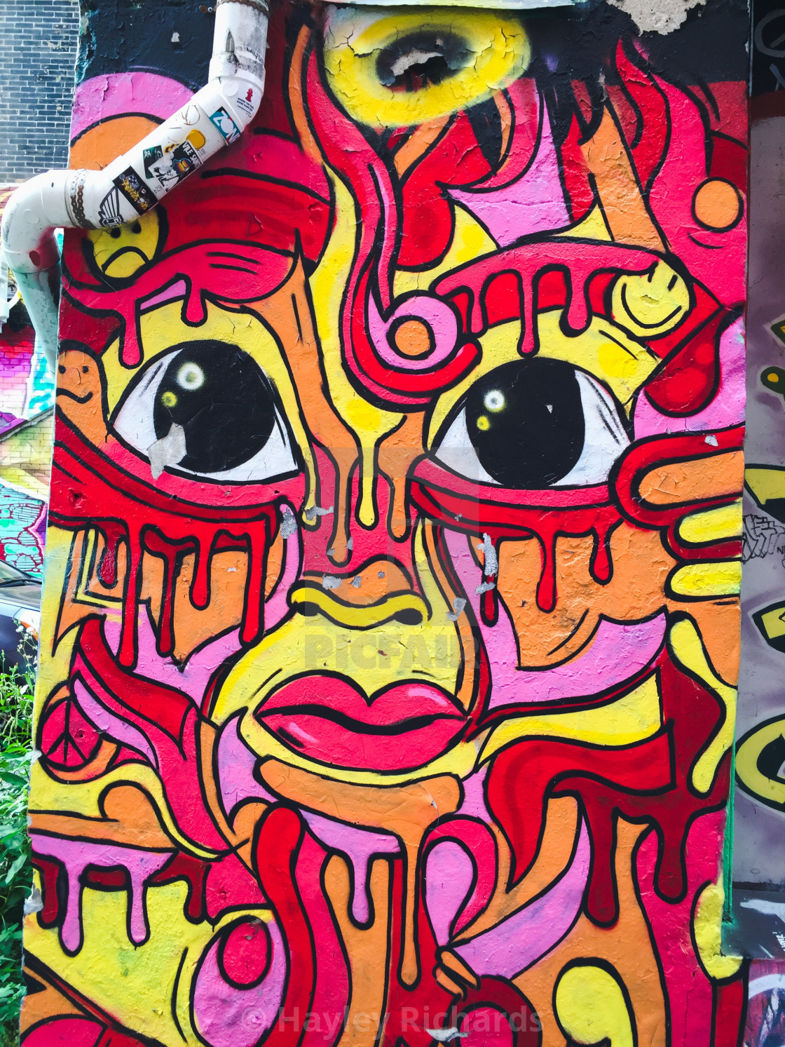 Detail Graffiti Face Art Nomer 12