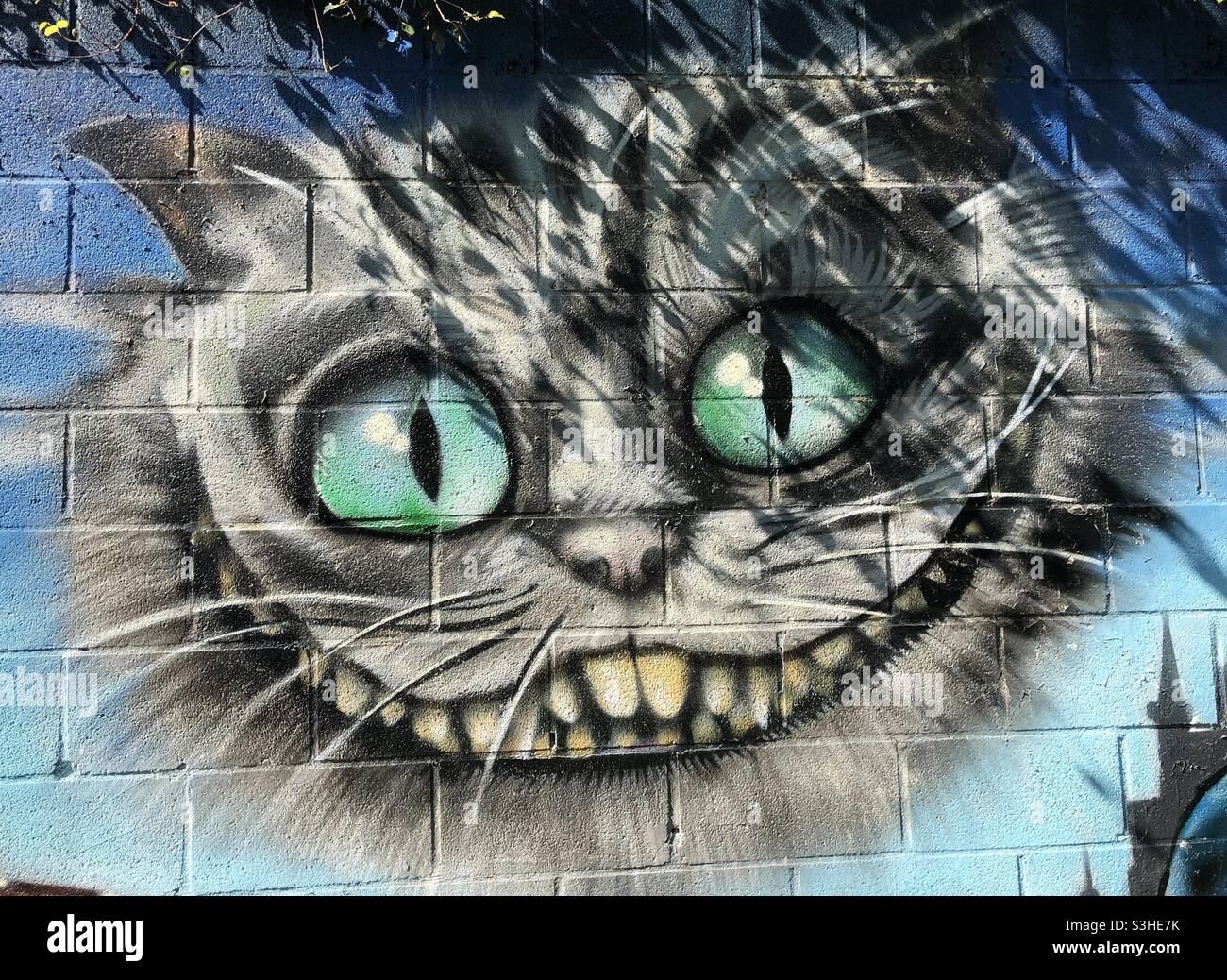 Detail Graffiti Film Nomer 25