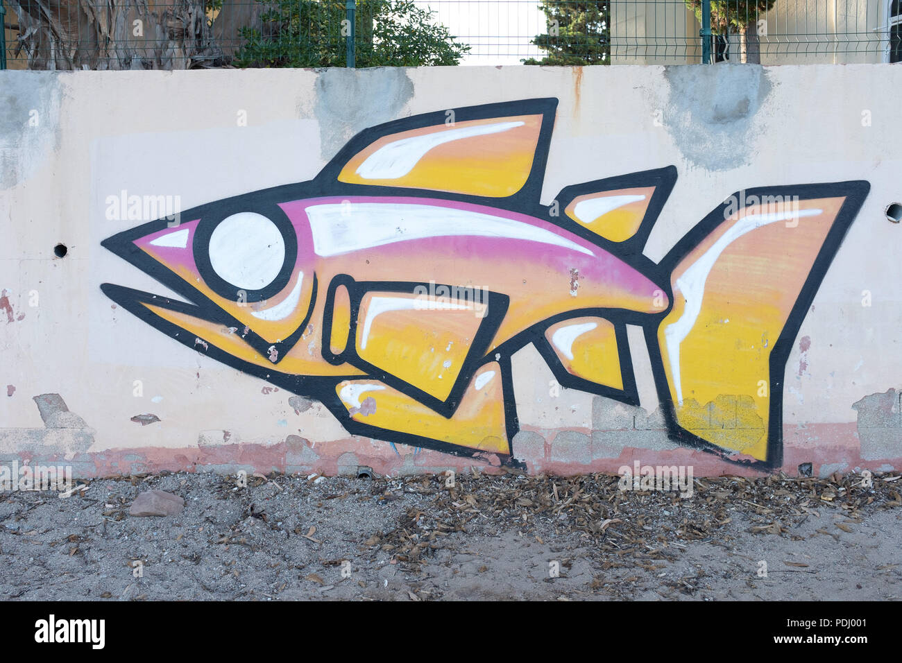 Graffiti Fish - KibrisPDR