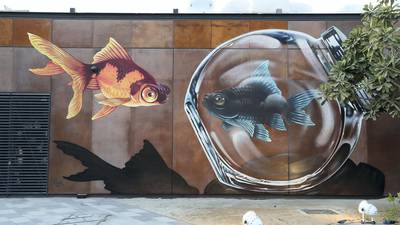 Detail Graffiti Fish 3d Nomer 19