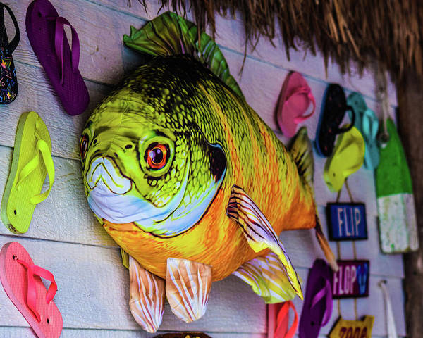 Detail Graffiti Fish 3d Nomer 29