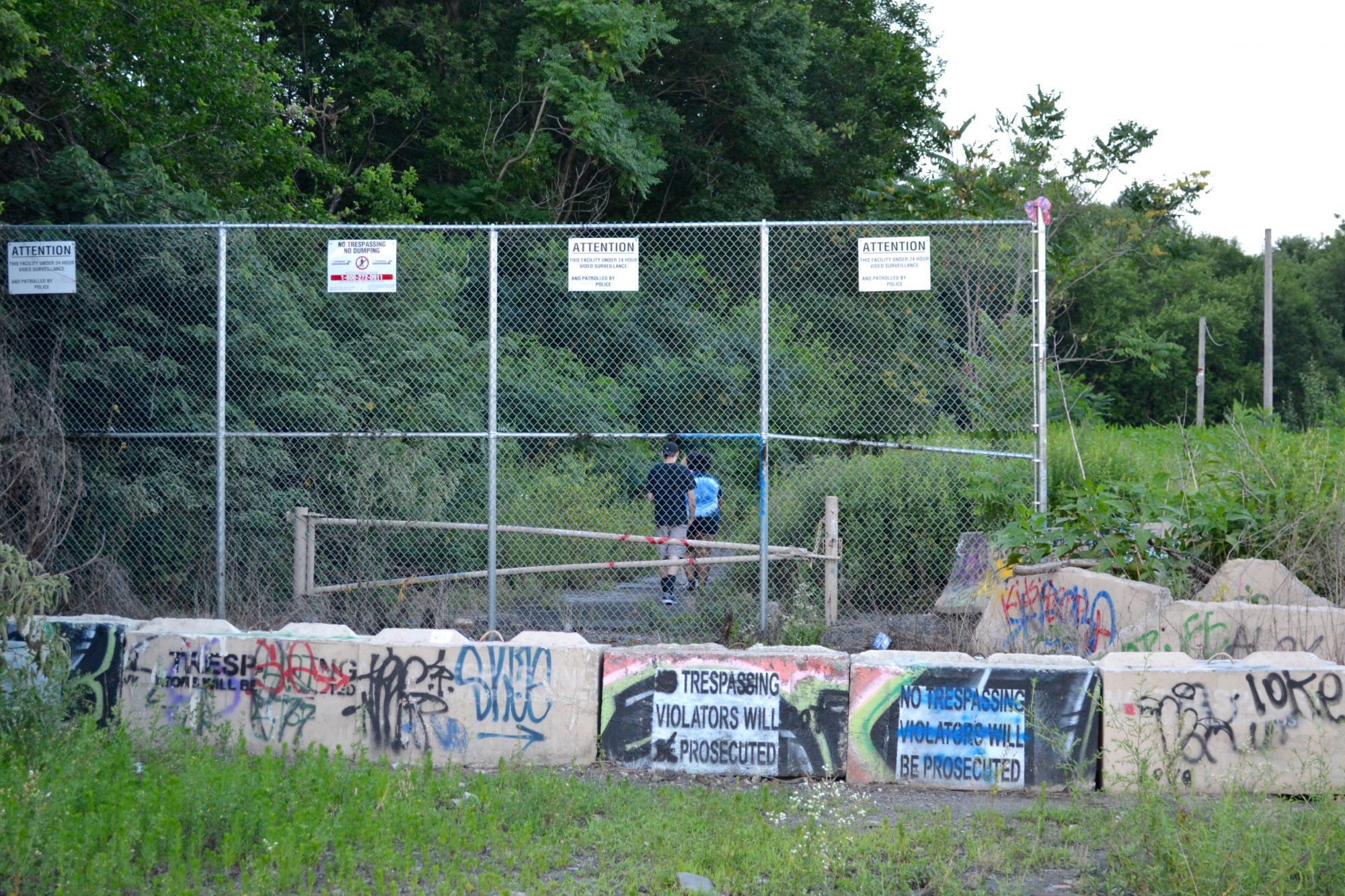 Detail Graffiti For A House Gate Nomer 25