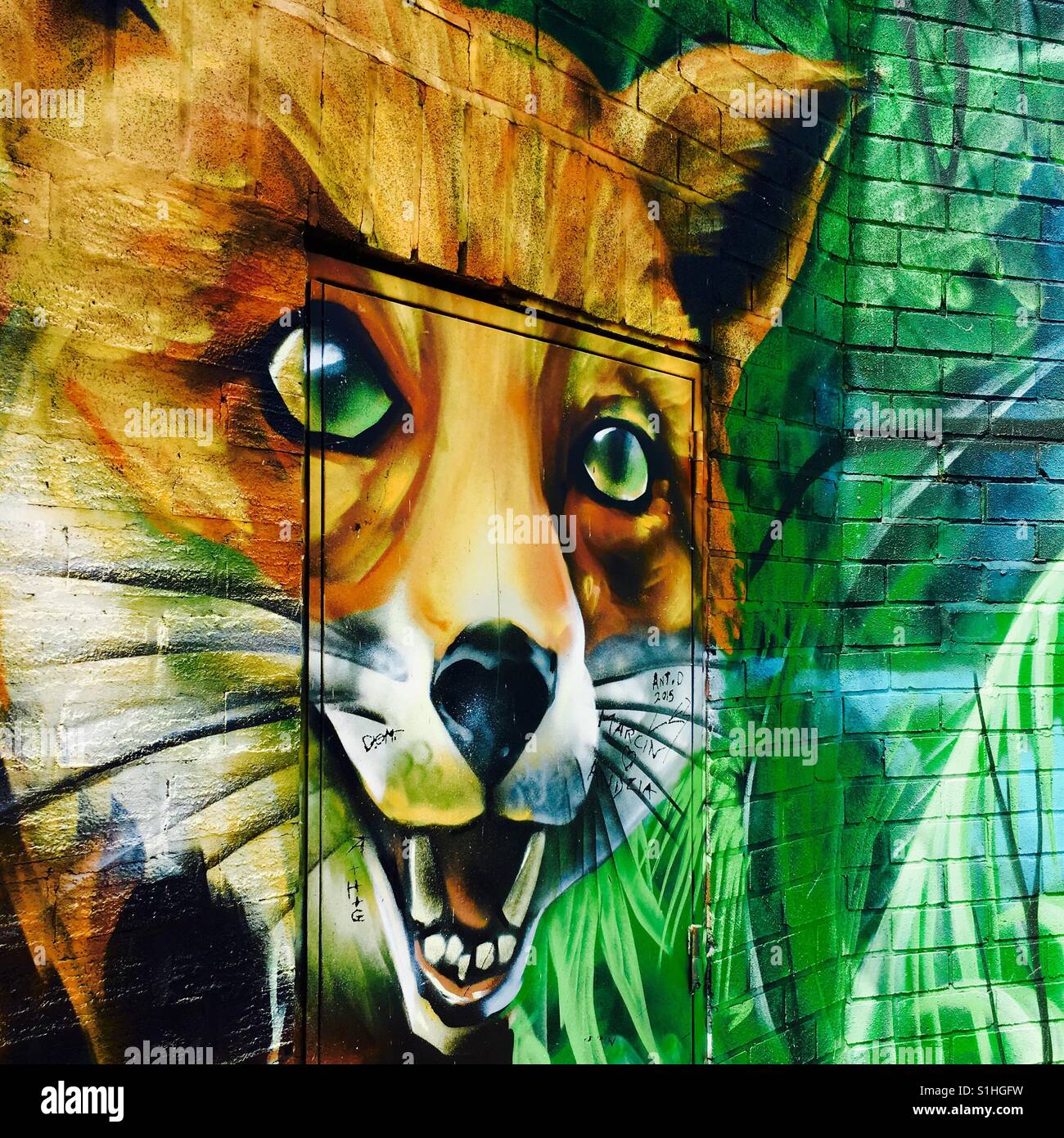Detail Graffiti Fox Nomer 13