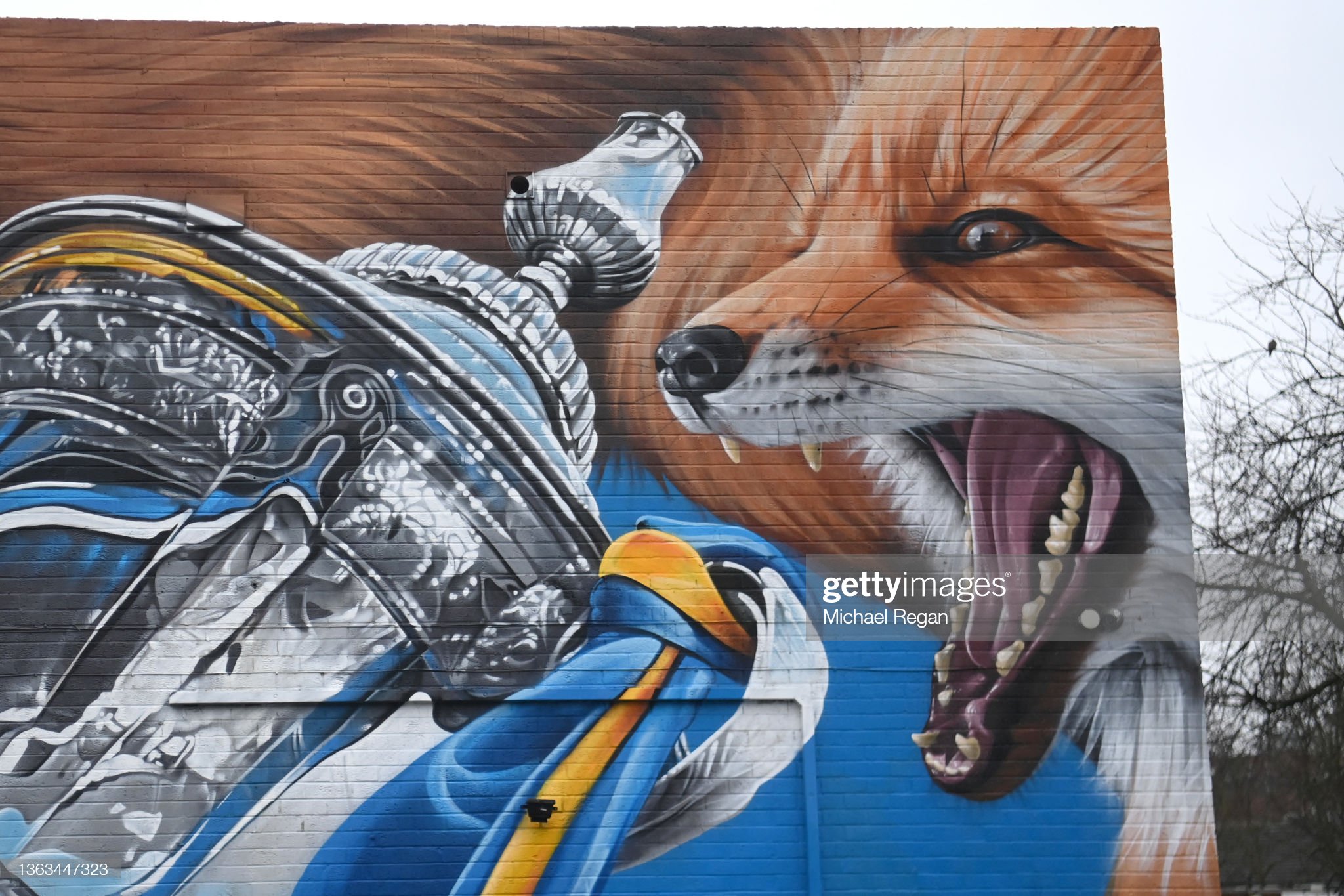 Detail Graffiti Fox Nomer 29