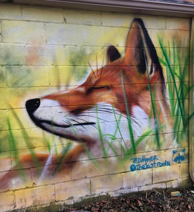 Detail Graffiti Fox Nomer 52