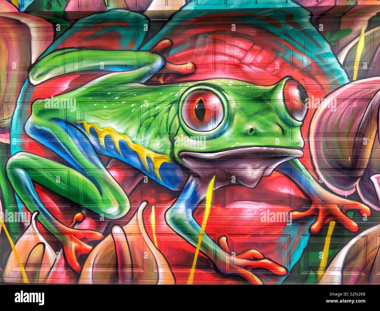 Detail Graffiti Frog Nomer 19