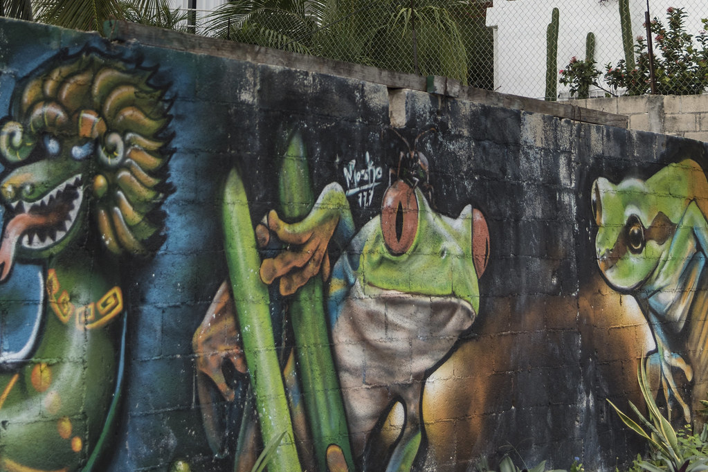 Detail Graffiti Frog Nomer 22