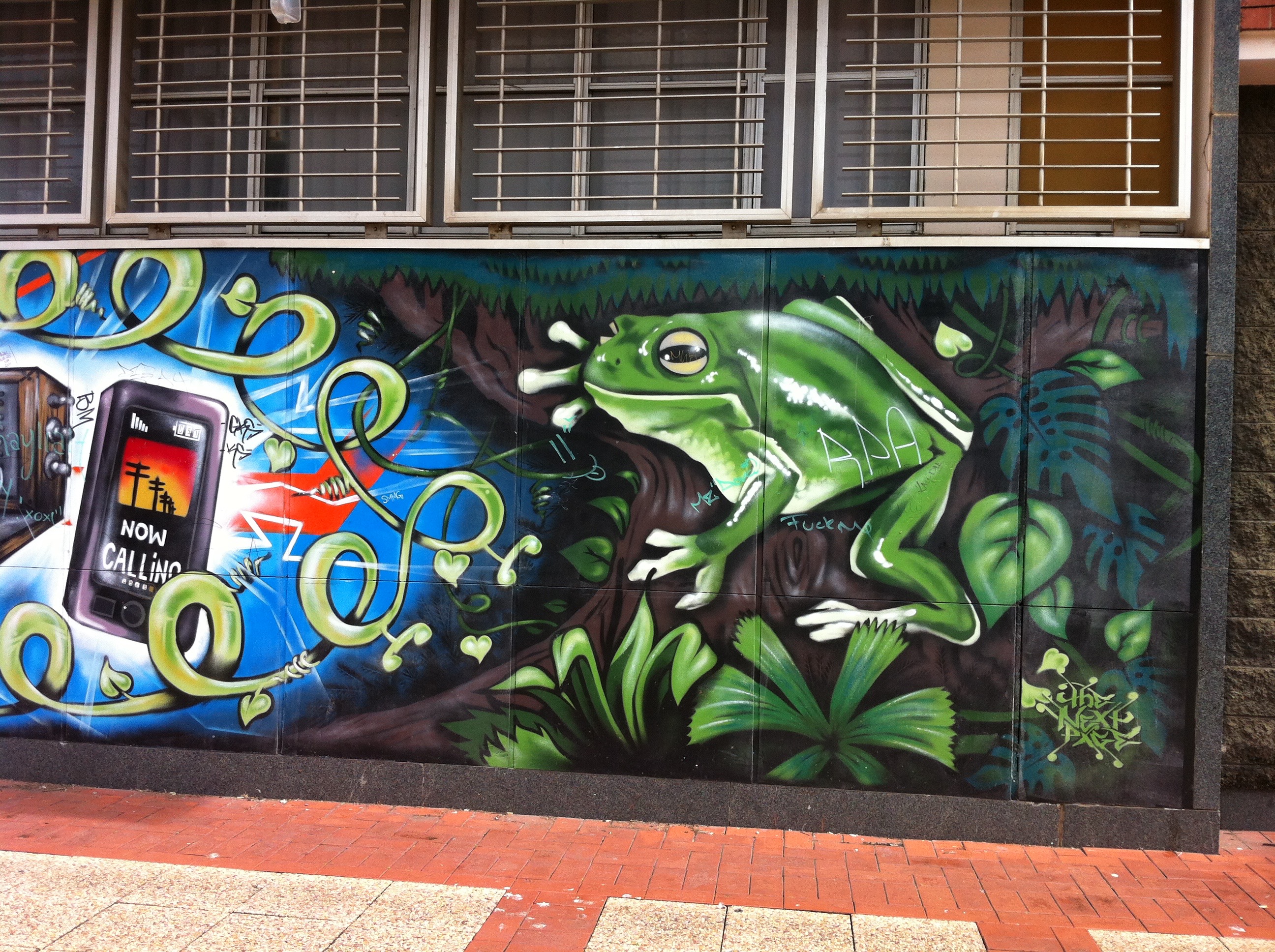 Detail Graffiti Frog Nomer 41