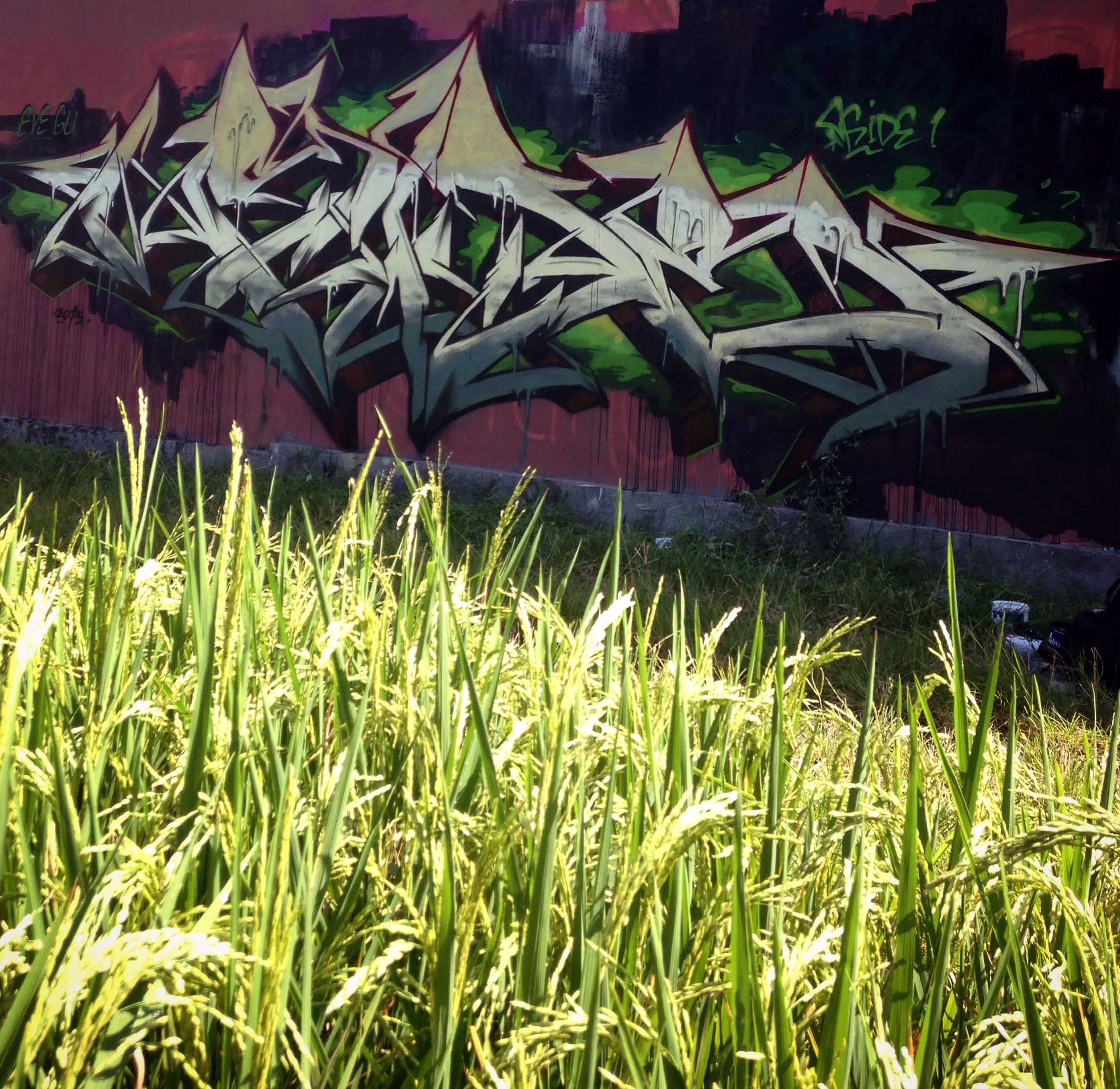 Detail Graffiti Imam Bonjol Nomer 30