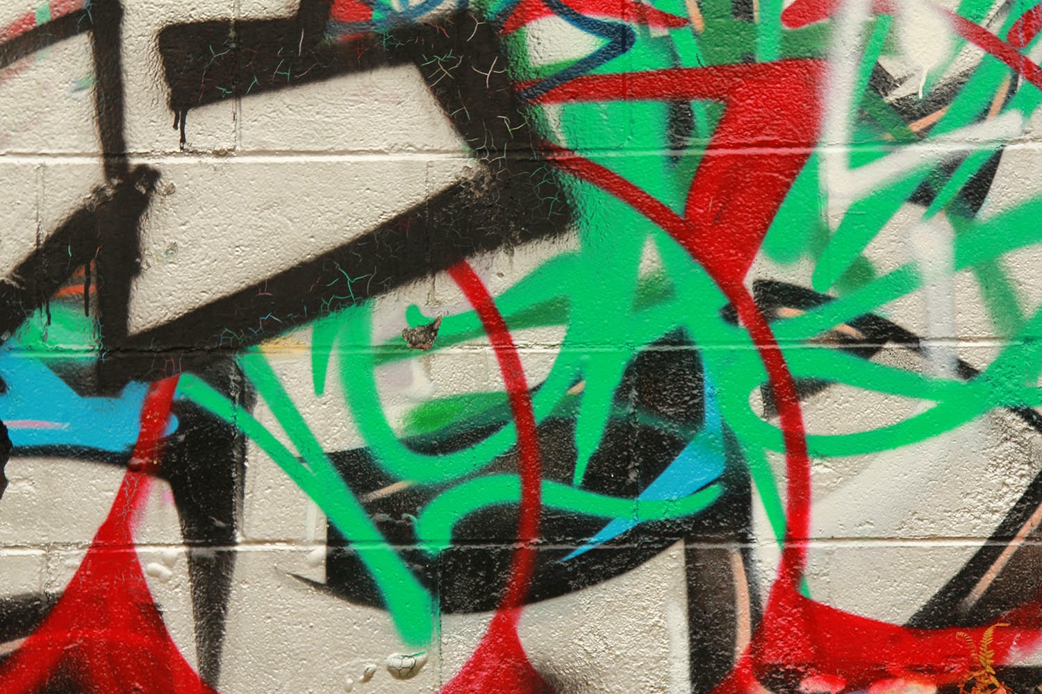 Detail Graffiti In Rotorua Nomer 32