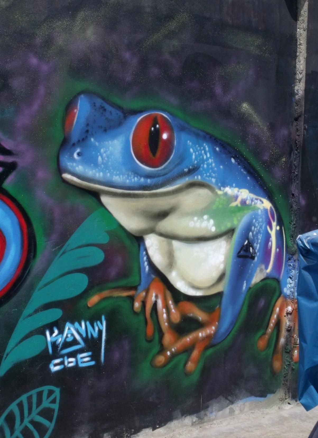 Detail Graffiti Katak Nomer 21