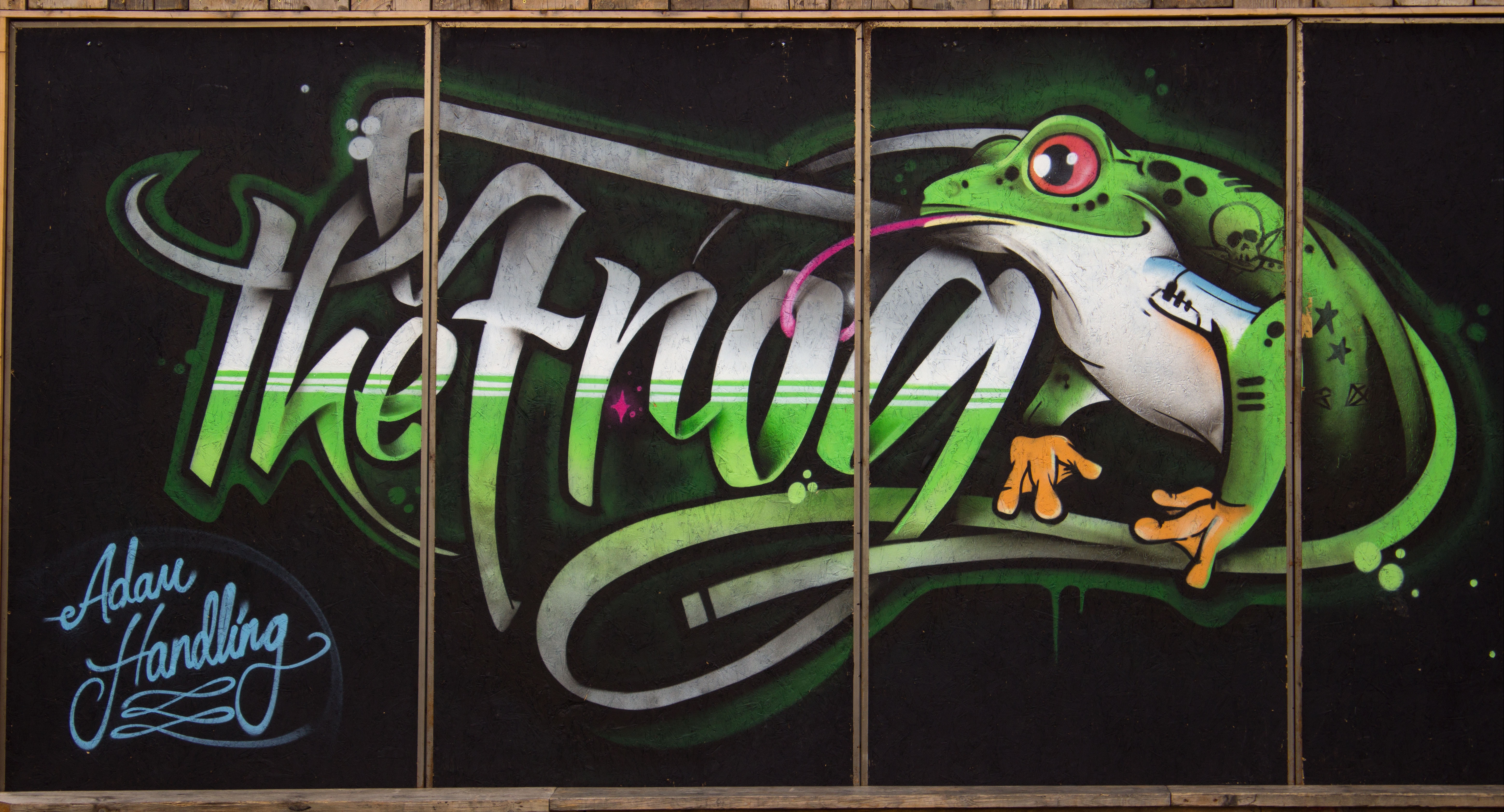 Detail Graffiti Katak Nomer 29