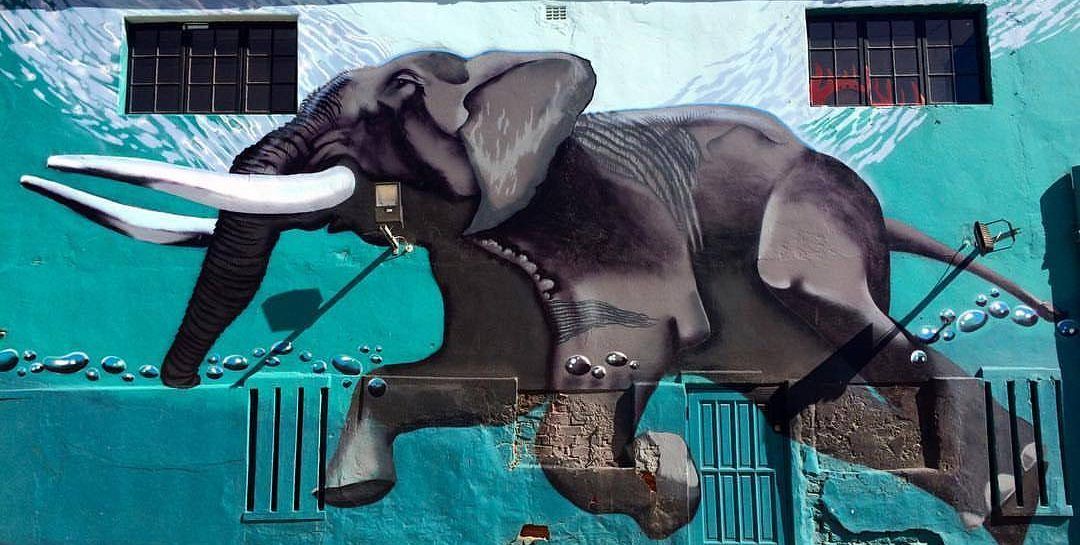 Detail Graffiti Kodiak Record Nomer 23