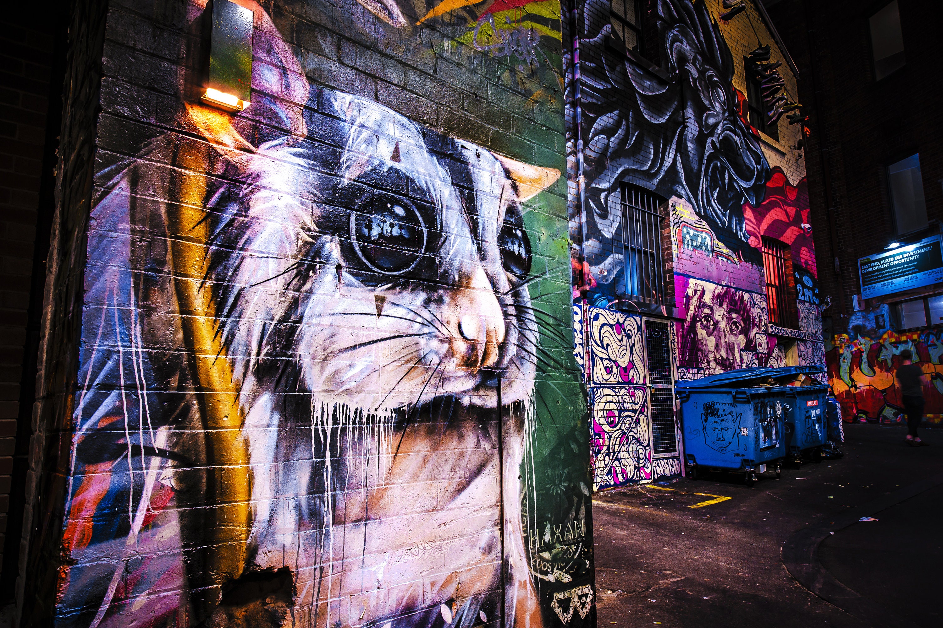 Detail Graffiti Lane Melbourne Nomer 45
