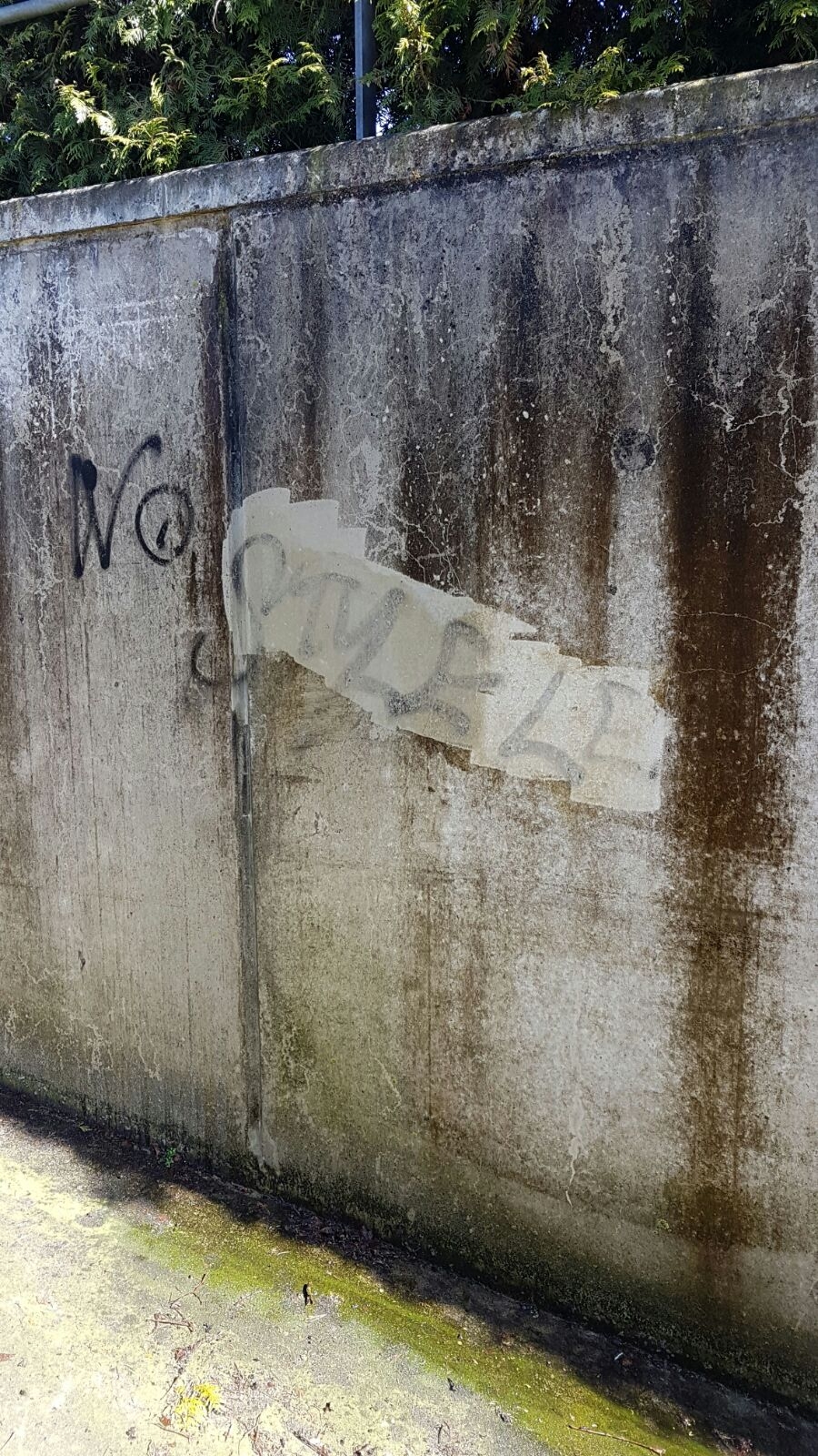 Detail Graffiti Laten Verwijderen Nomer 27