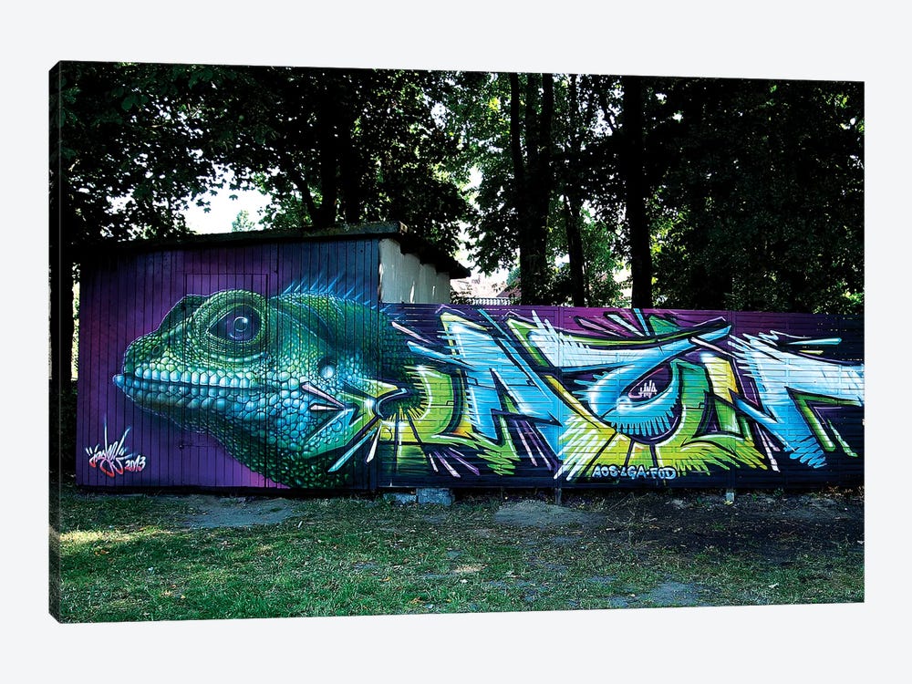 Detail Graffiti Lizard Nomer 40