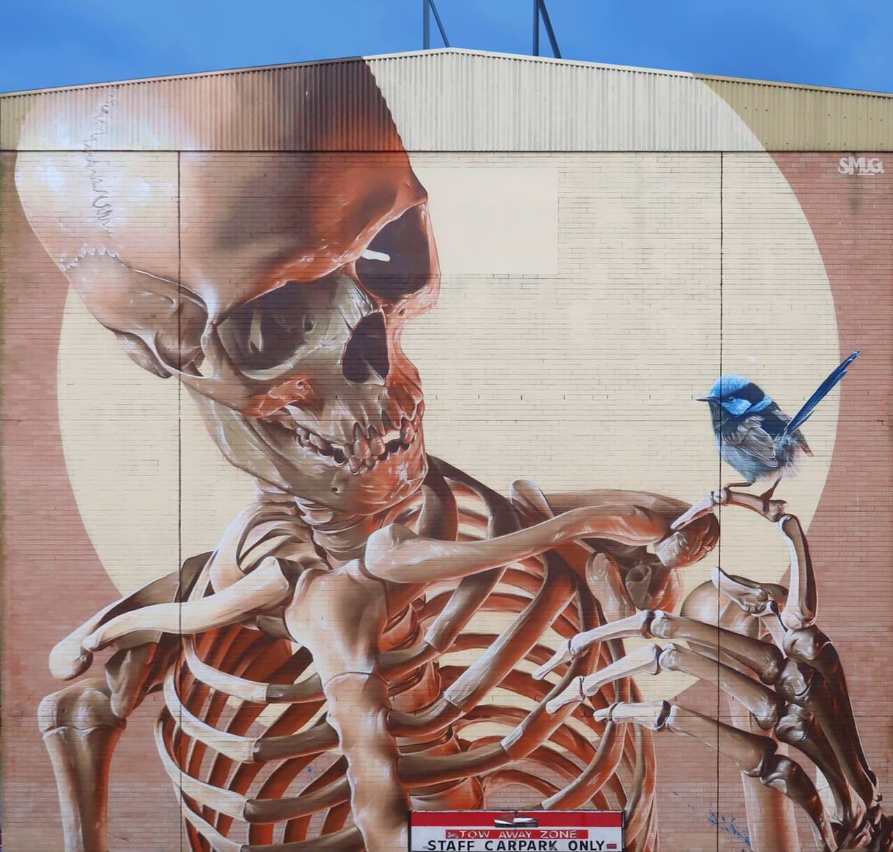Detail Graffiti Mural Artist In Australia Nomer 29