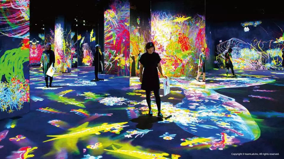 Detail Graffiti Nature Lost Immersed And Reborn Teamlab Nomer 29