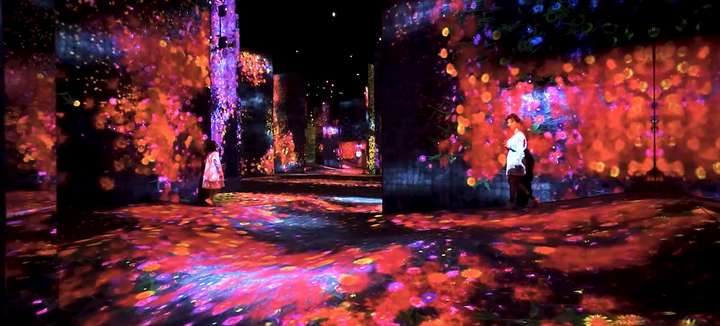 Detail Graffiti Nature Lost Immersed And Reborn Teamlab Nomer 42