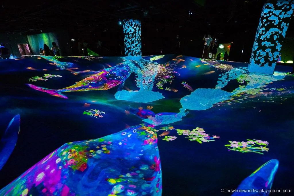 Detail Graffiti Nature Lost Immersed And Reborn Teamlab Nomer 54
