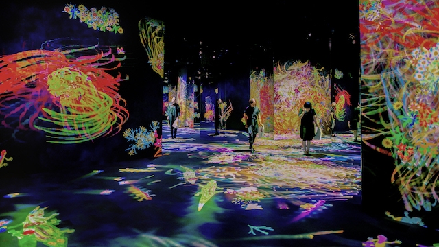 Detail Graffiti Nature Lost Immersed And Reborn Teamlab Nomer 8