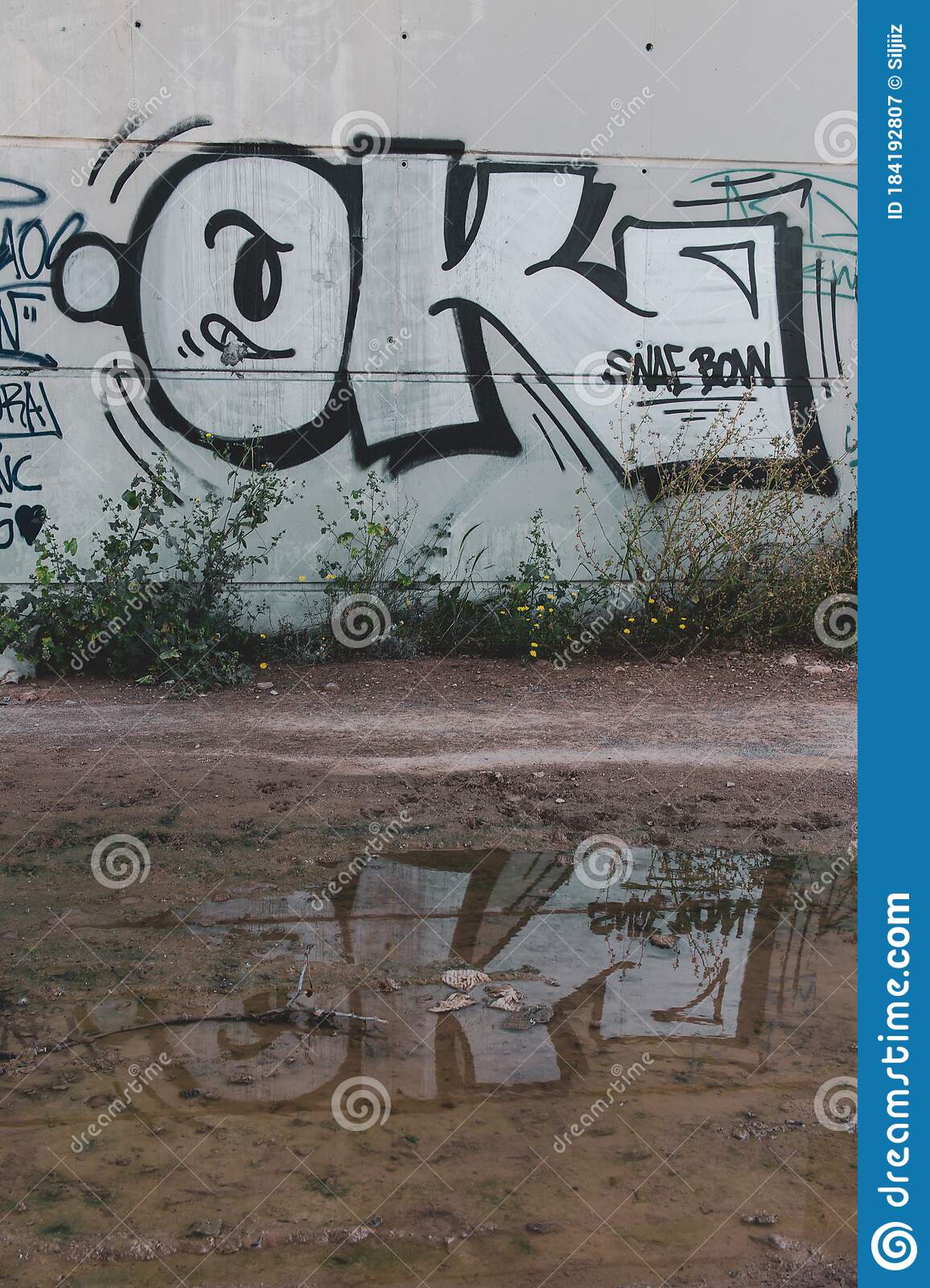 Detail Graffiti Ots Nomer 11